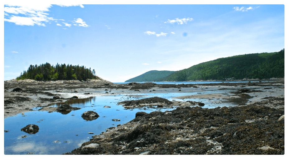 LERE de lEstuaire | 18 Rue Alain Mailloux, La Malbaie, QC G5A 2E7, Canada | Phone: (514) 385-0438