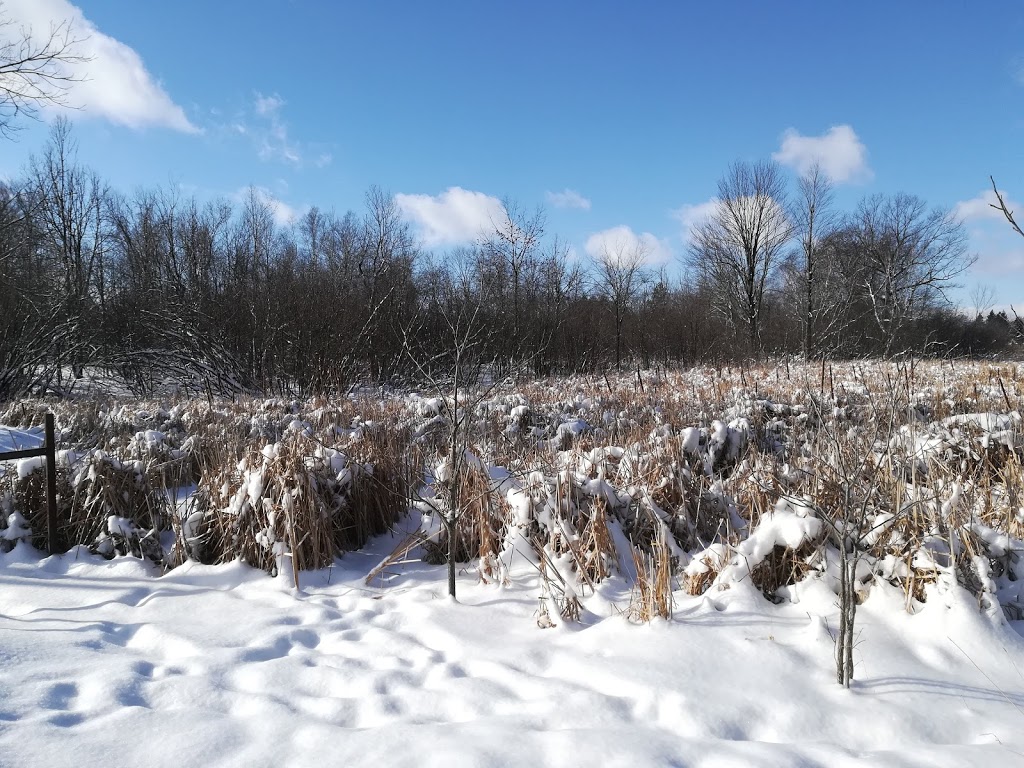 Marshlands Conservation Area | 1641 Perth Rd, 1214 Trailhead Pl, Glenburnie, ON K0H 1S0, Canada | Phone: (613) 546-4228