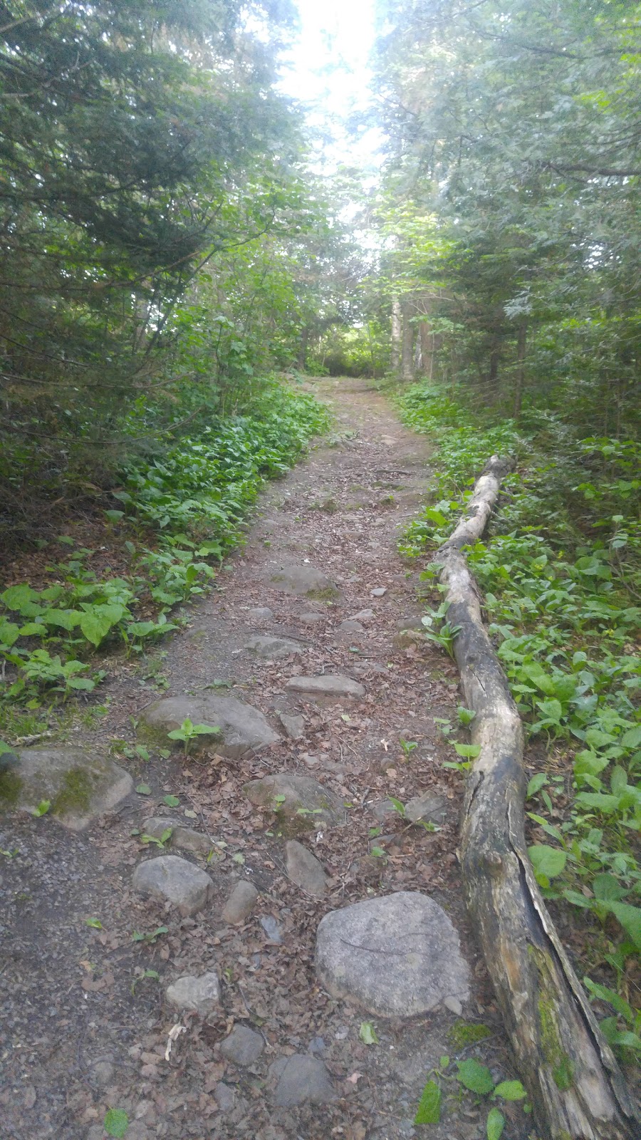 Hazelwood Lake Conservation Area | Thunder Bay, Unorganized, ON P0T, Canada | Phone: (807) 344-5857