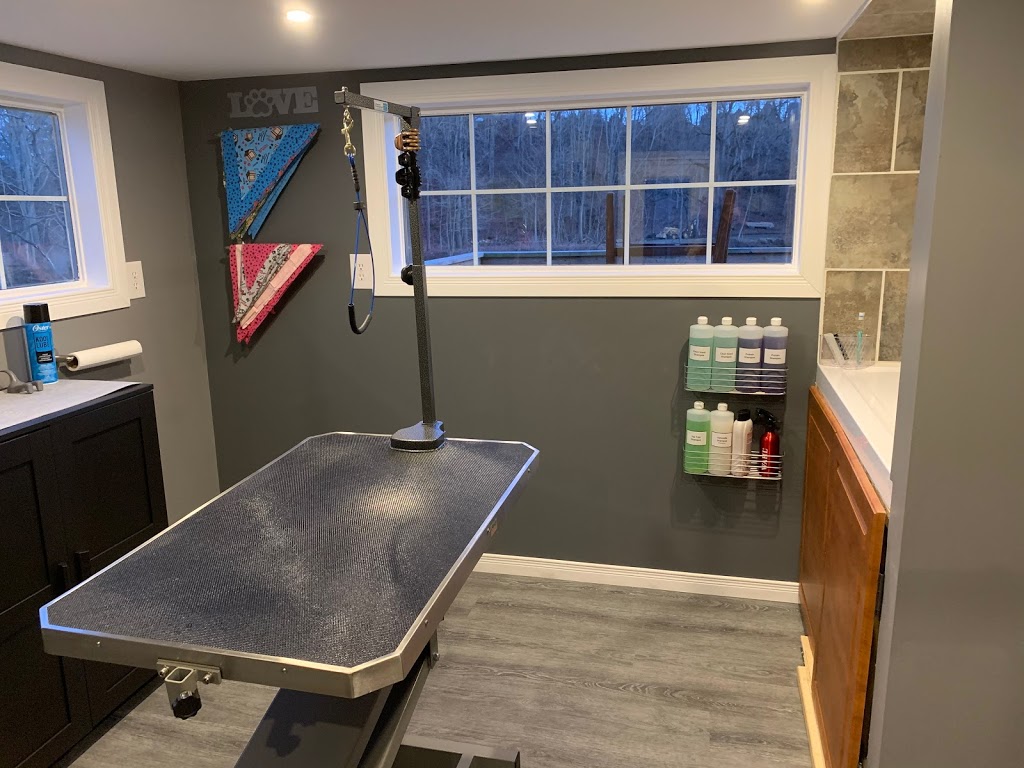 Creekside K9 Spa | 48259 Rush Creek Line, Aylmer, ON N5H 2R2, Canada | Phone: (519) 765-1944