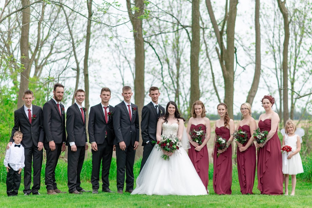 Steven Taylor Photography - Wallaceburg | 163 Mt Pleasant Crescent, Wallaceburg, ON N8A 5A3, Canada | Phone: (519) 784-4930