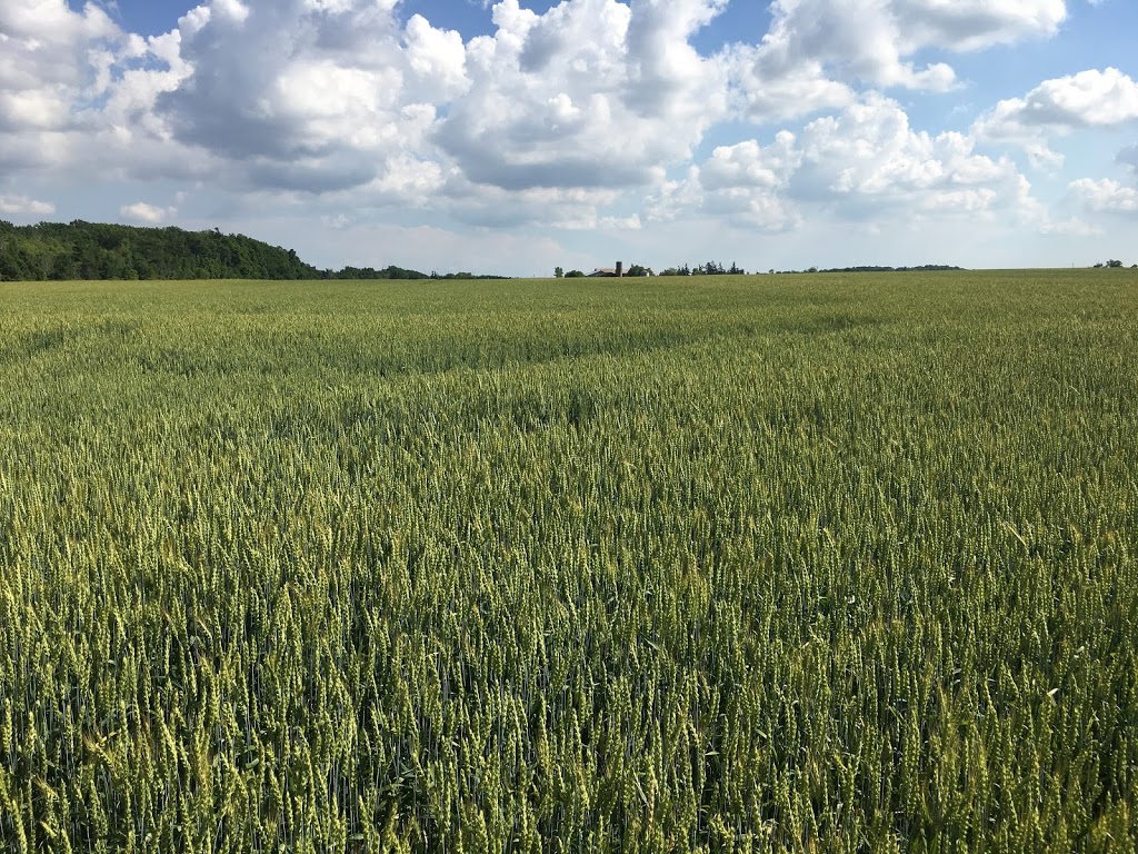 Clark Agri Service | 4891 Canborough Rd, Wellandport, ON L0R 2J0, Canada | Phone: (800) 222-7542