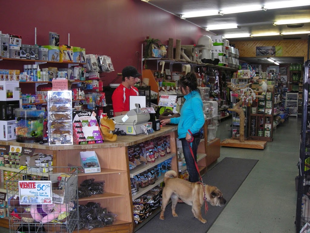 Animalerie Roufi | 855 Boulevard Ouellet, Thetford Mines, QC G6G 4X7, Canada | Phone: (418) 335-6147