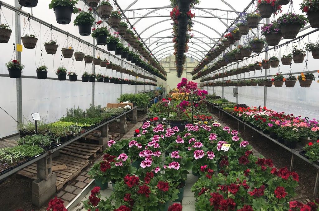 Scotts Garden Centre | 254 Coldwater Rd W, Orillia, ON L3V 3M3, Canada | Phone: (705) 325-2909