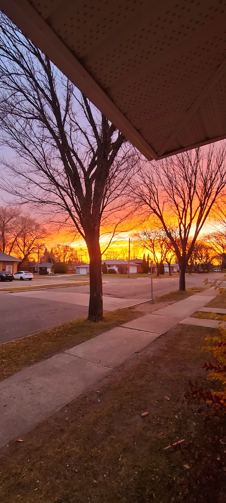 CTV Winnipeg | 345 Graham Ave #400, Winnipeg, MB R3C 5S6, Canada | Phone: (204) 788-3300