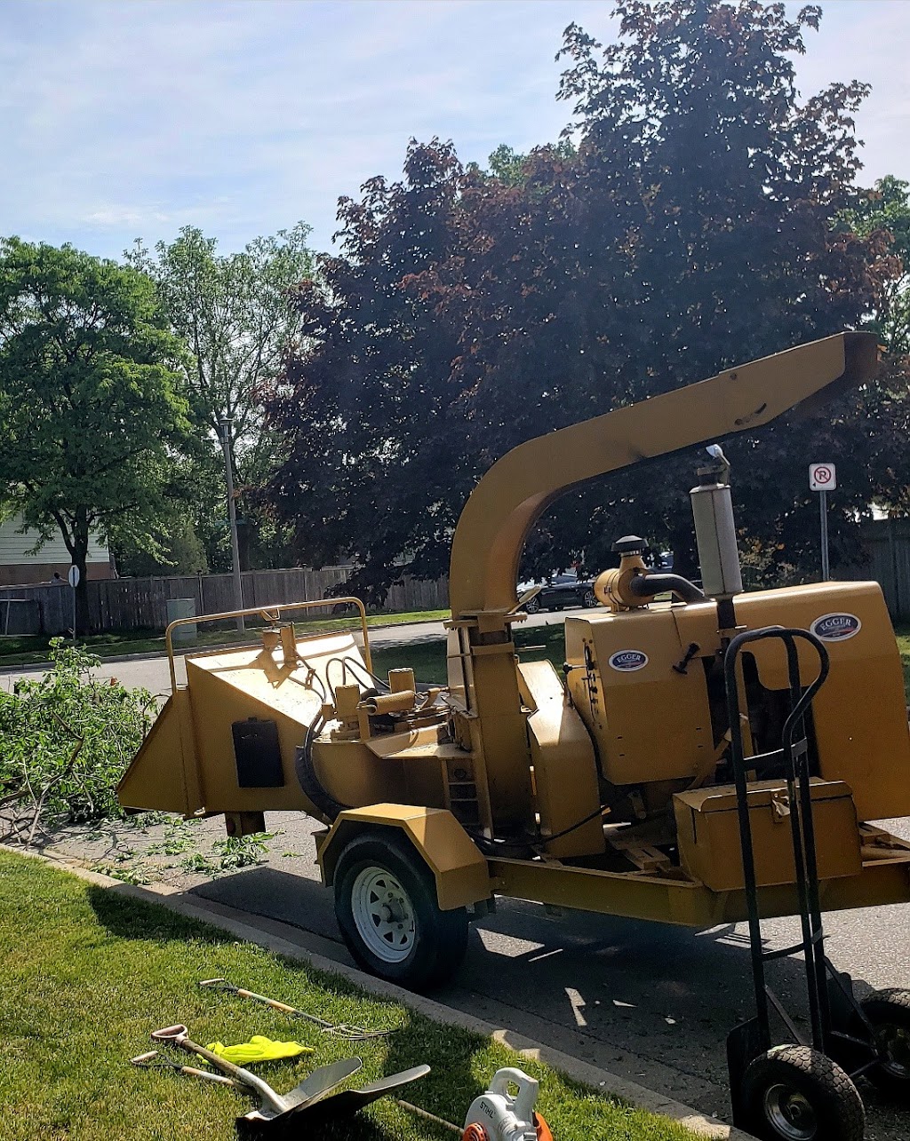 The Healthy Tree - Tree Removal | 514 John St, Dunnville, ON N1A 2R4, Canada | Phone: (905) 220-9170