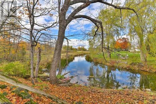 Deer Creek Farm & Chapel | 210 St Lawrence St E, Madoc, ON K0K 2K0, Canada | Phone: (416) 720-0103