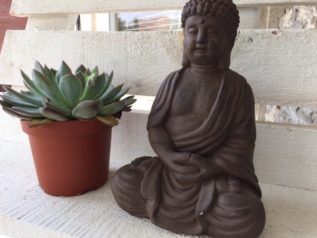 Petals of Light | 38 Grand Ave S, Cambridge, ON N1S 2L6, Canada | Phone: (519) 729-2342
