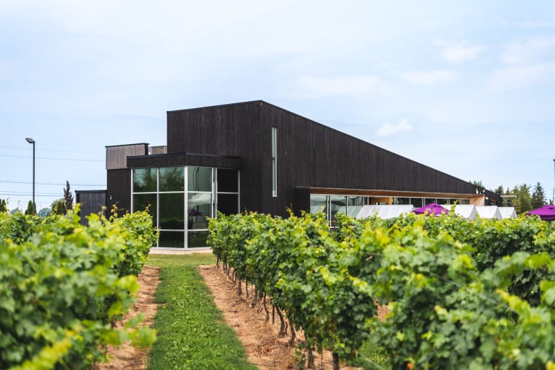 Cheers Transportation - Wine Tours & Shuttle Services | 349 Airport Road, Niagara-on-the-Lake, ON L0S 1J0, Canada | Phone: (905) 931-9197