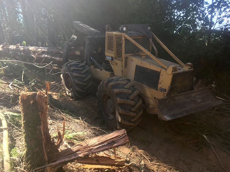 S A S Logging & Tree Service | 51633 Yale Rd, Rosedale, BC V0X 1X1, Canada | Phone: (778) 860-3078