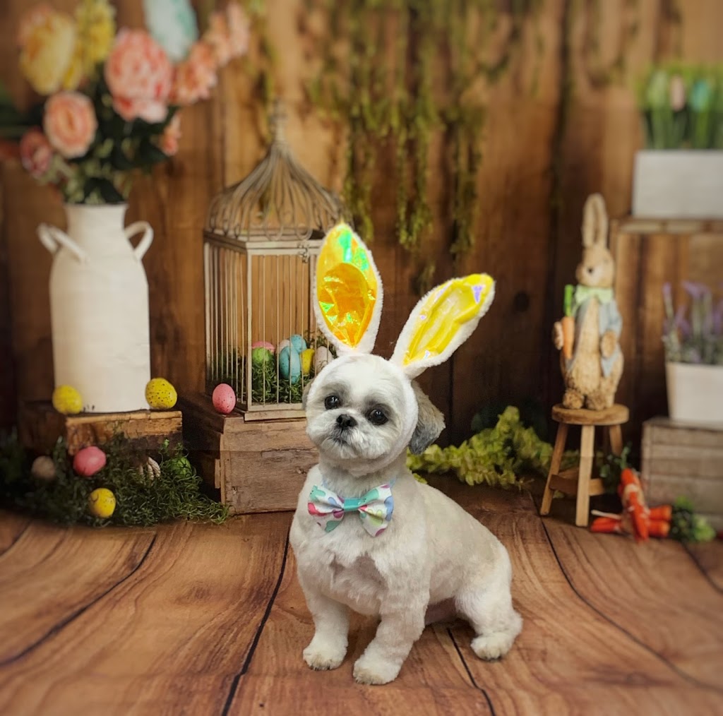 Groomingdale’s pet grooming | 264 Baker Dr, Dartmouth, NS B2W 6L4, Canada | Phone: (902) 464-6460