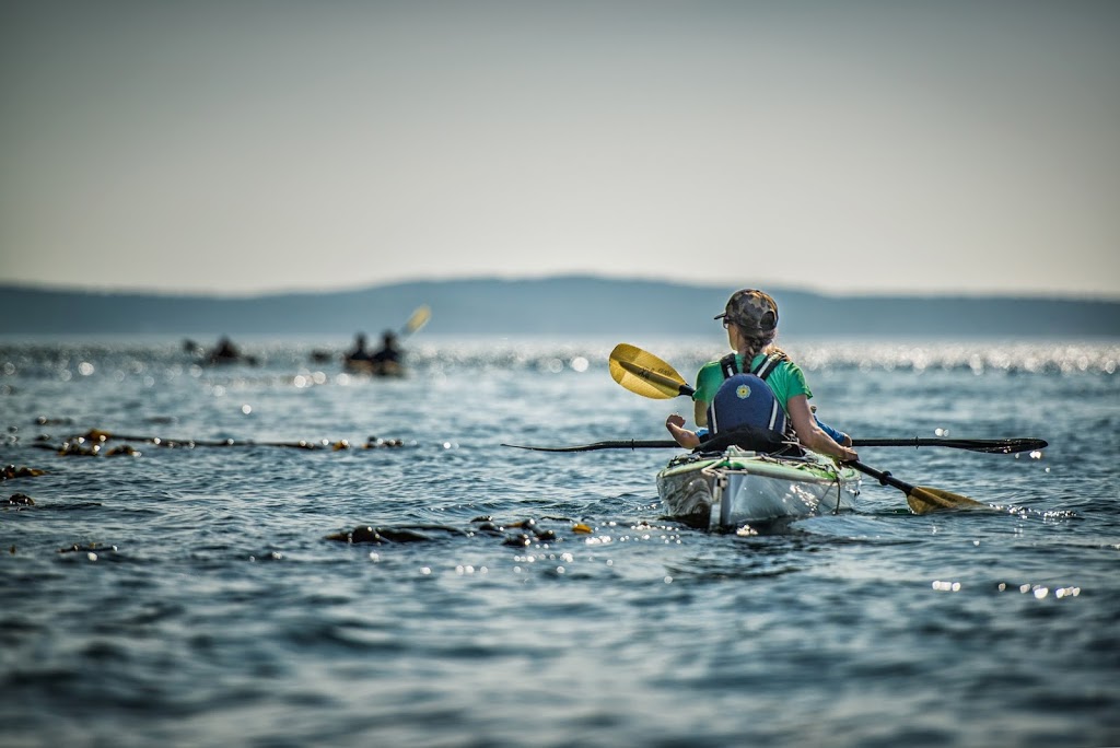 Anacortes Kayak Tours | 2009 Skyline Way, Anacortes, WA 98221, USA | Phone: (360) 588-1117