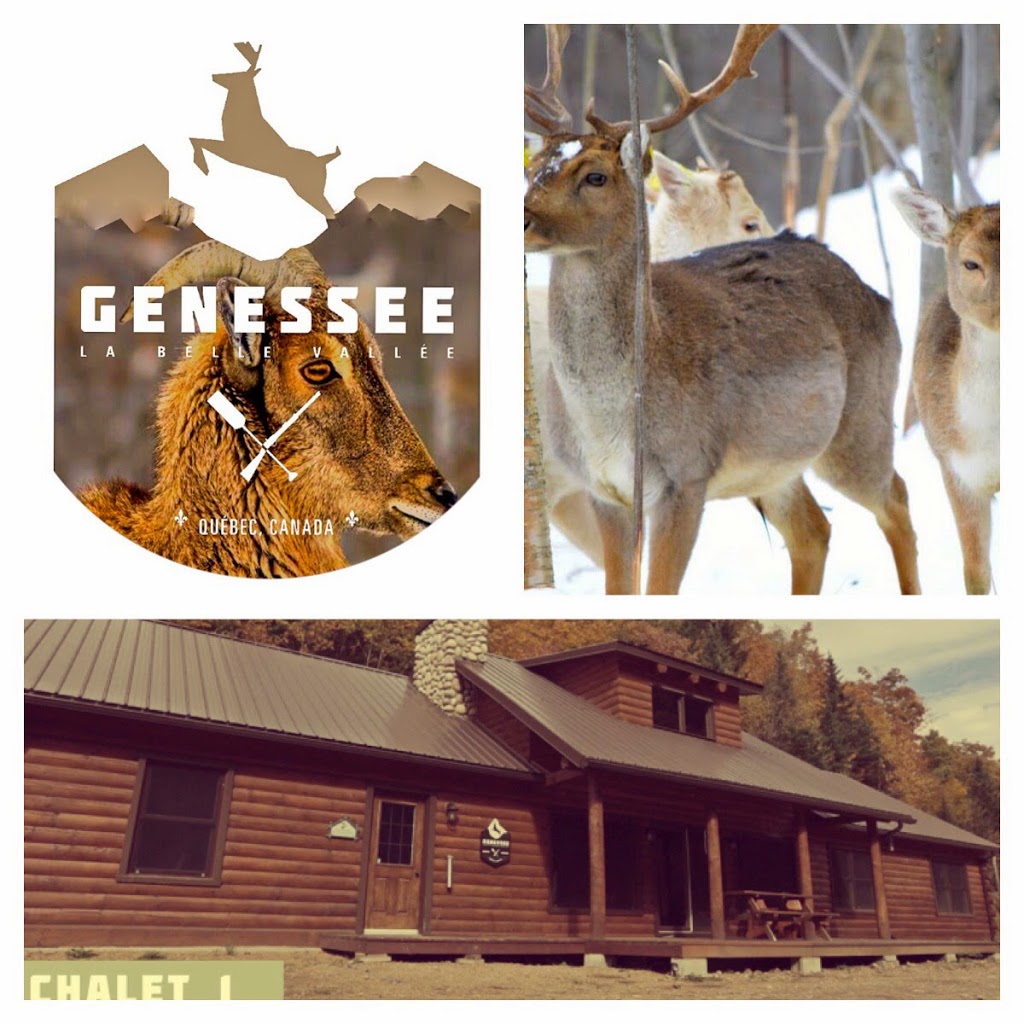 Pourvoirie Genessee | 200, chemin des Sucreries, LAnge-Gardien, QC G0A 2K0, Canada | Phone: (418) 953-4379