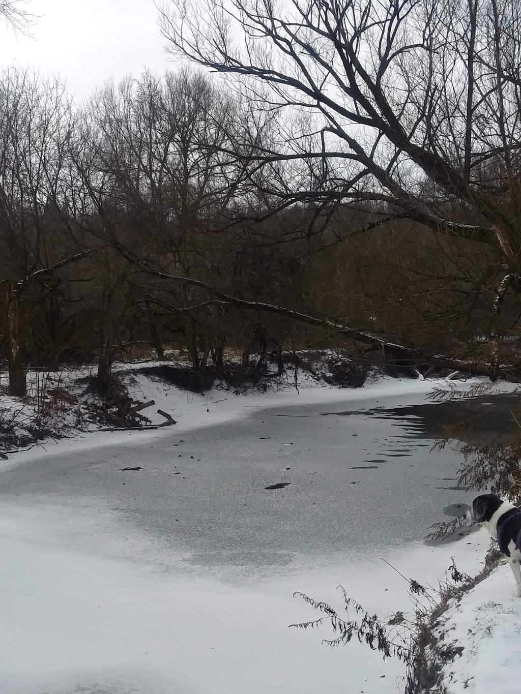 Majors Park | 441 Olean Rd, East Aurora, NY 14052, USA
