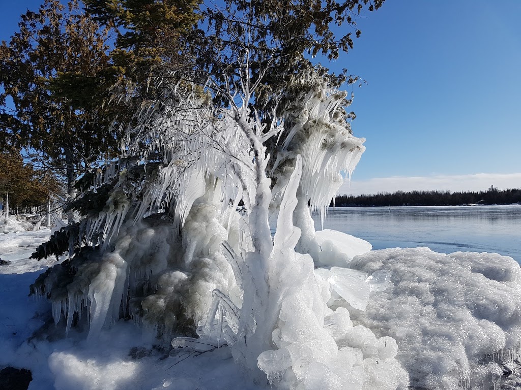 South Bay Resort & Campground | 21214 ON-6, South Baymouth, ON P0P 1Z0, Canada | Phone: (705) 859-3106