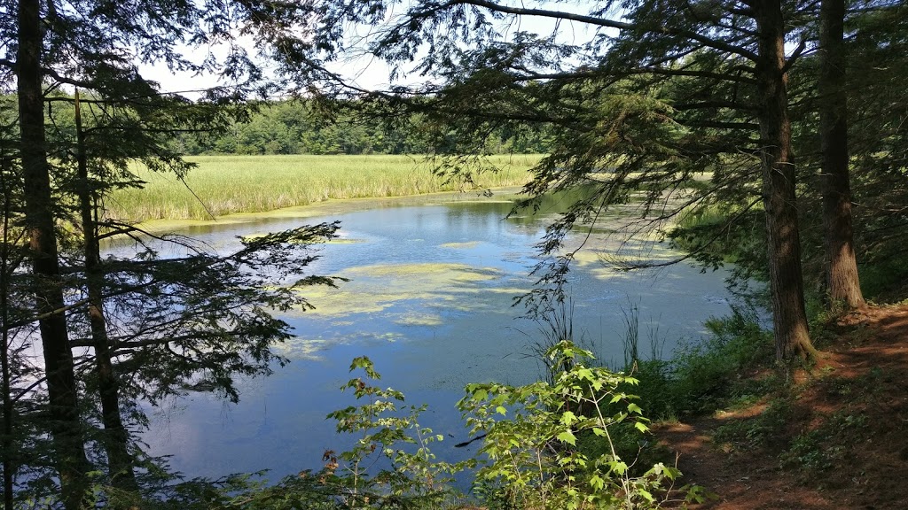 Jones Creek Trails - Thousand Islands National Park | 1231-1241 Thousand Islands Pkwy, Mallorytown, ON K0E 1R0, Canada | Phone: (613) 923-5261