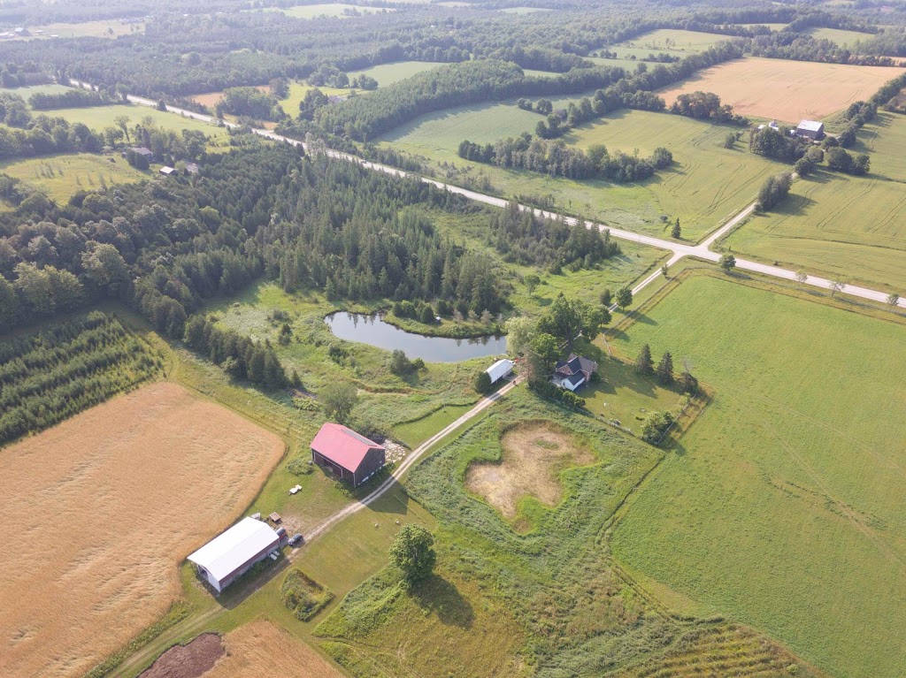 Wayne Shier - Your Grassroots Realtor | 20 Toronto Rd, Flesherton, ON N0C 1E0, Canada | Phone: (519) 375-2378