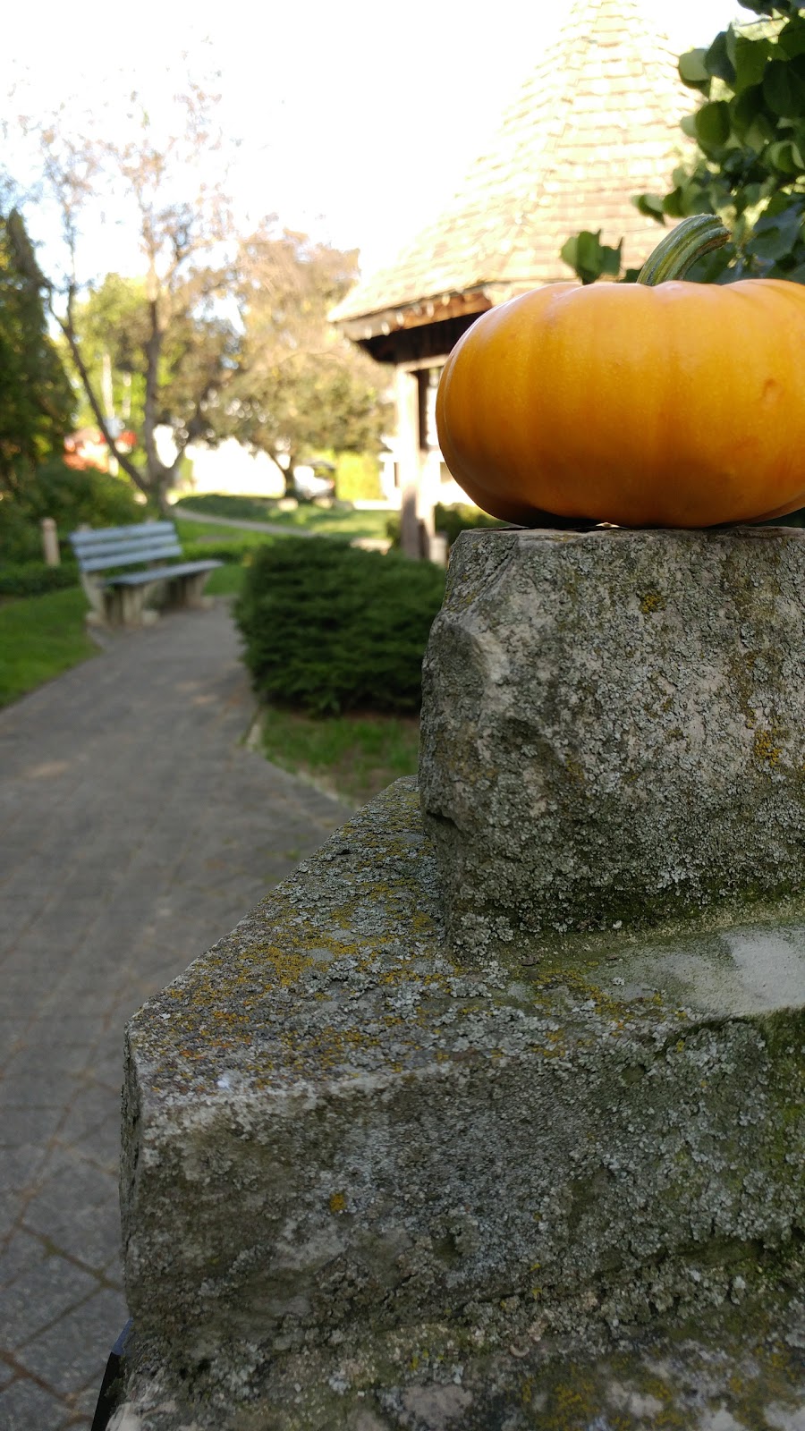 MacNaughton Park and Nature Trail | 56 Hill St, Exeter, ON N0M 1S1, Canada