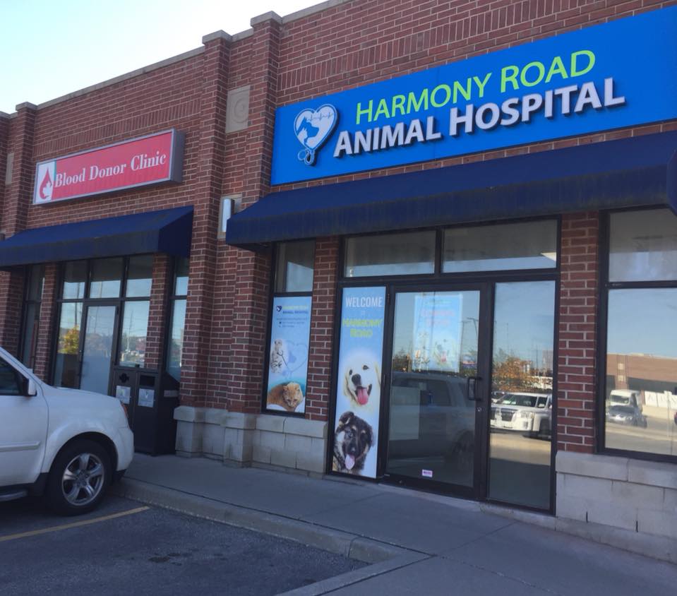 Harmony Road Animal Hospital | veterinary care | 1304 Harmony Rd N #1, Oshawa, ON L1H 7K5, Canada | 9057288282 OR +1 905-728-8282