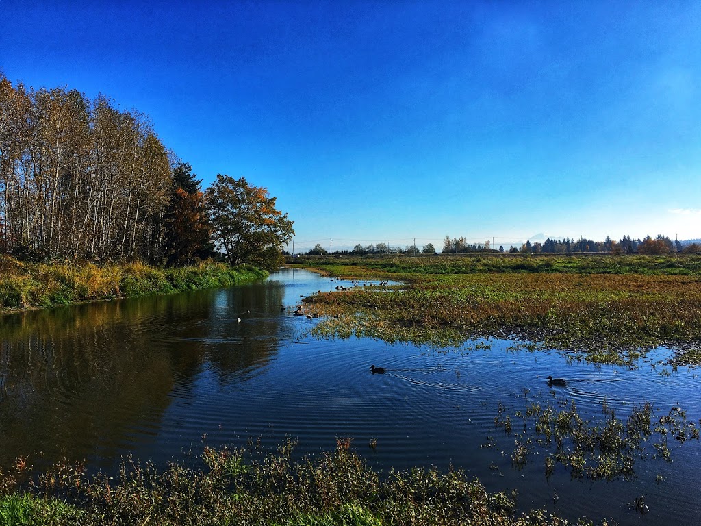 Serpentine Fen Observation Deck | 44 Ave, Surrey, BC V3S 0L2, Canada