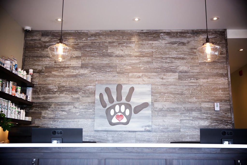Hôpital Vétérinaire Passion Compassion | 650 Rue de Montbrun #106, Boucherville, QC J4B 8G9, Canada | Phone: (450) 906-6090