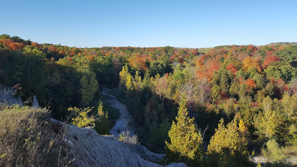 Vista Trail Trailhead | 1749 Meadowvale Rd, Scarborough, ON M1B 5W8, Canada | Phone: (416) 264-2020