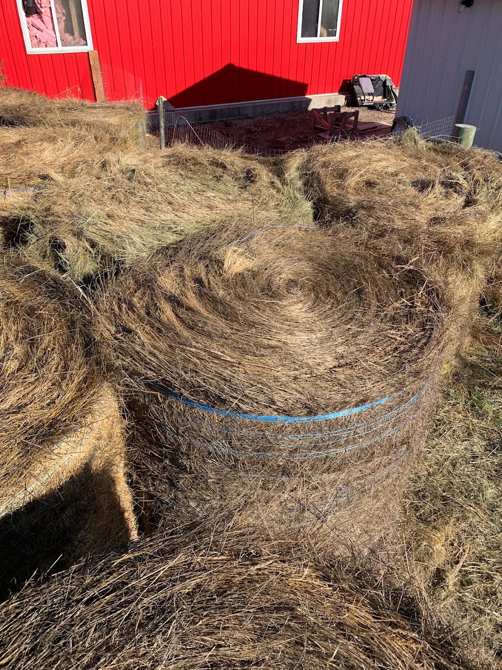 Cousins Corral | Rd 130, Eriksdale, MB R0C 0W0, Canada | Phone: (204) 981-0986