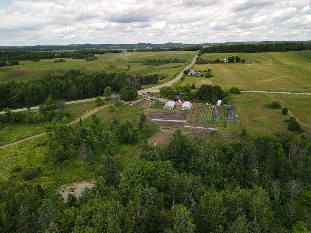 Ferme Pure Conscience | 57 Chem. Ragged Chute, Bristol, QC J0X 1G0, Canada | Phone: (873) 822-1251