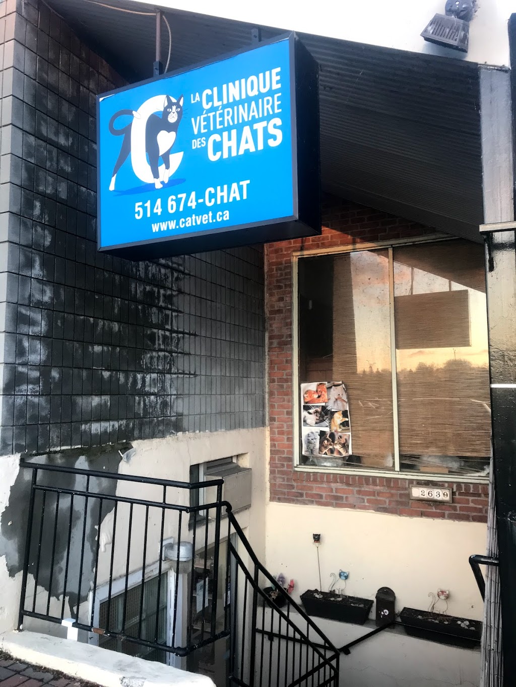Clinique Vétérinaire Des Chats (La) | 263 Boul. Saint-Jean, Pointe-Claire, QC H9R 3J1, Canada | Phone: (514) 674-2428