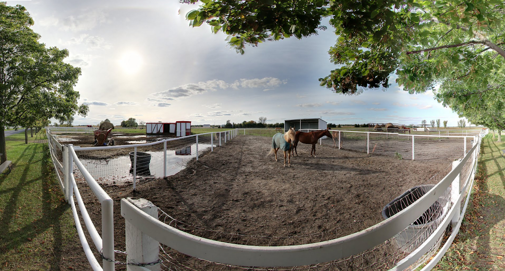 Ranch Anne-Marie Lussier | 865 Boulevard Saint-Luc, Saint-Jean-sur-Richelieu, QC J2W 2G6, Canada | Phone: (450) 349-5589