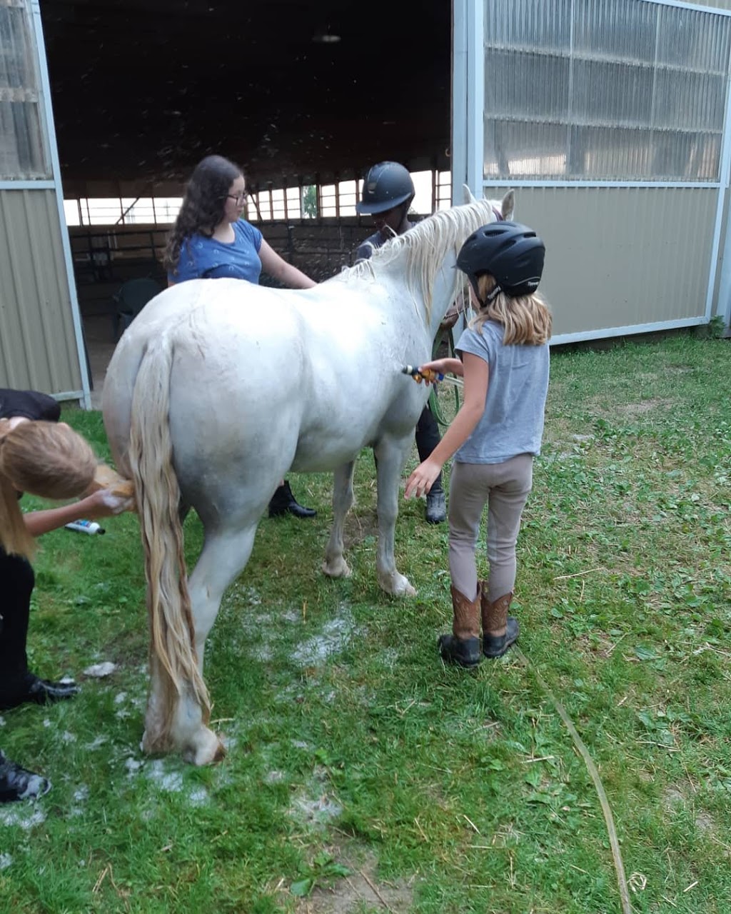 JL Equestrian Centre | 1110 Huron Rd, Petersburg, ON N0B 2H0, Canada | Phone: (226) 808-3518