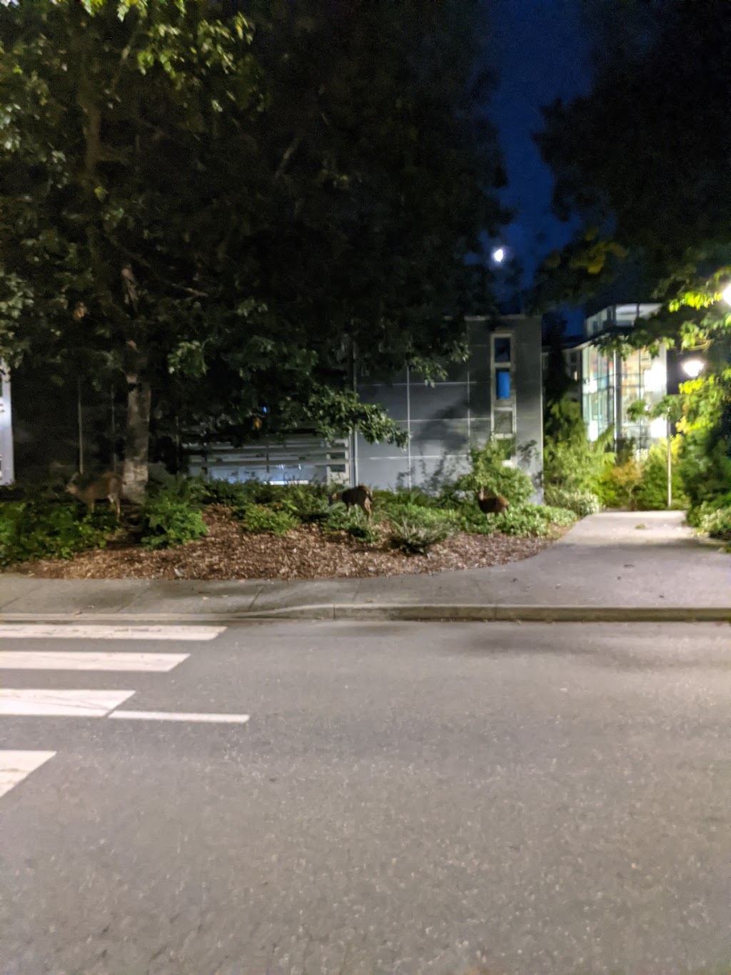 Peter B. Gustavson School of Business | Finnerty Rd, Victoria, BC V8P 5C2, Canada | Phone: (250) 472-4139
