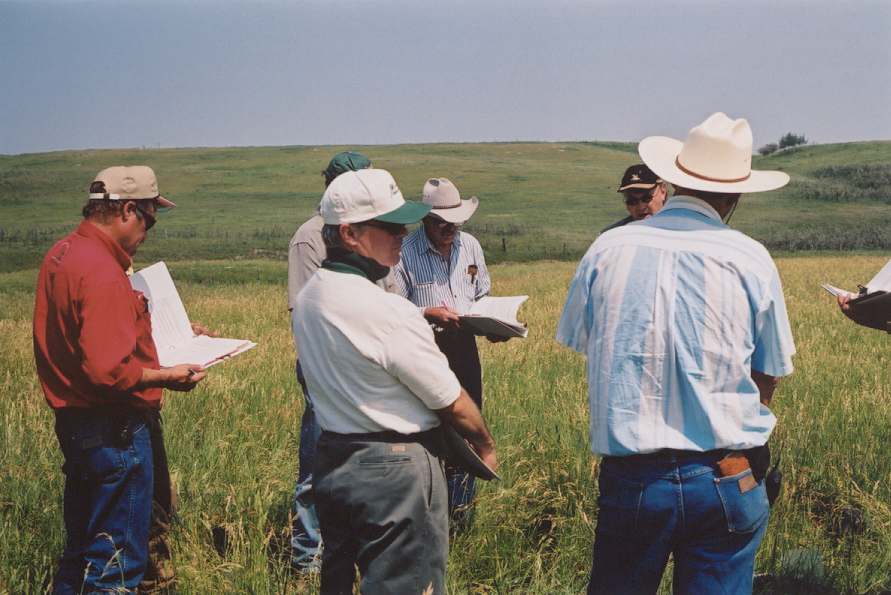 Foothills Forage & Grazing Association | 64164 393 E, Okotoks Dr, Okotoks, AB T1S 0L1, Canada | Phone: (403) 995-9466