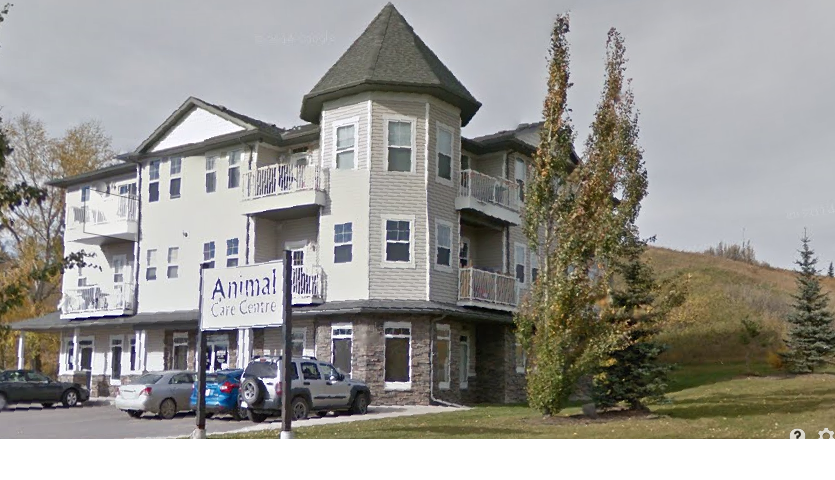 Animal Care Centre-Okotoks | 144 Crescent Rd W, Okotoks, AB T1S 1K2, Canada | Phone: (403) 938-0350