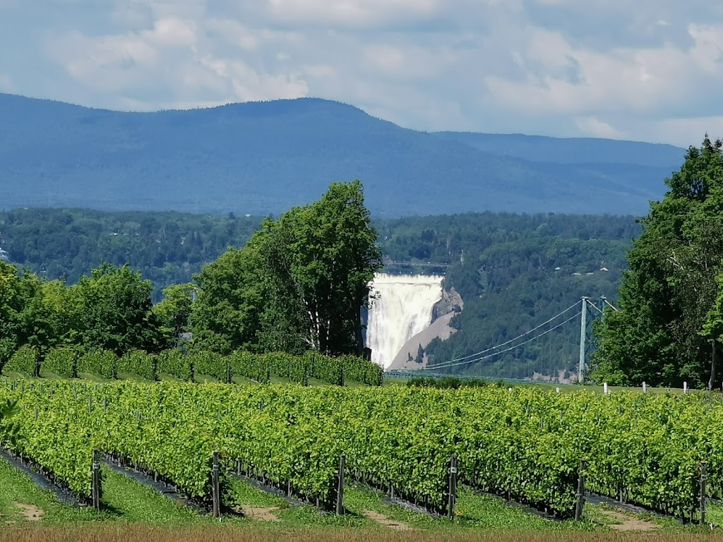 Saint Pierre Le Vignoble | 1007 Chem. Royal, Saint-Pierre, QC G0A 4E0, Canada | Phone: (418) 991-1007