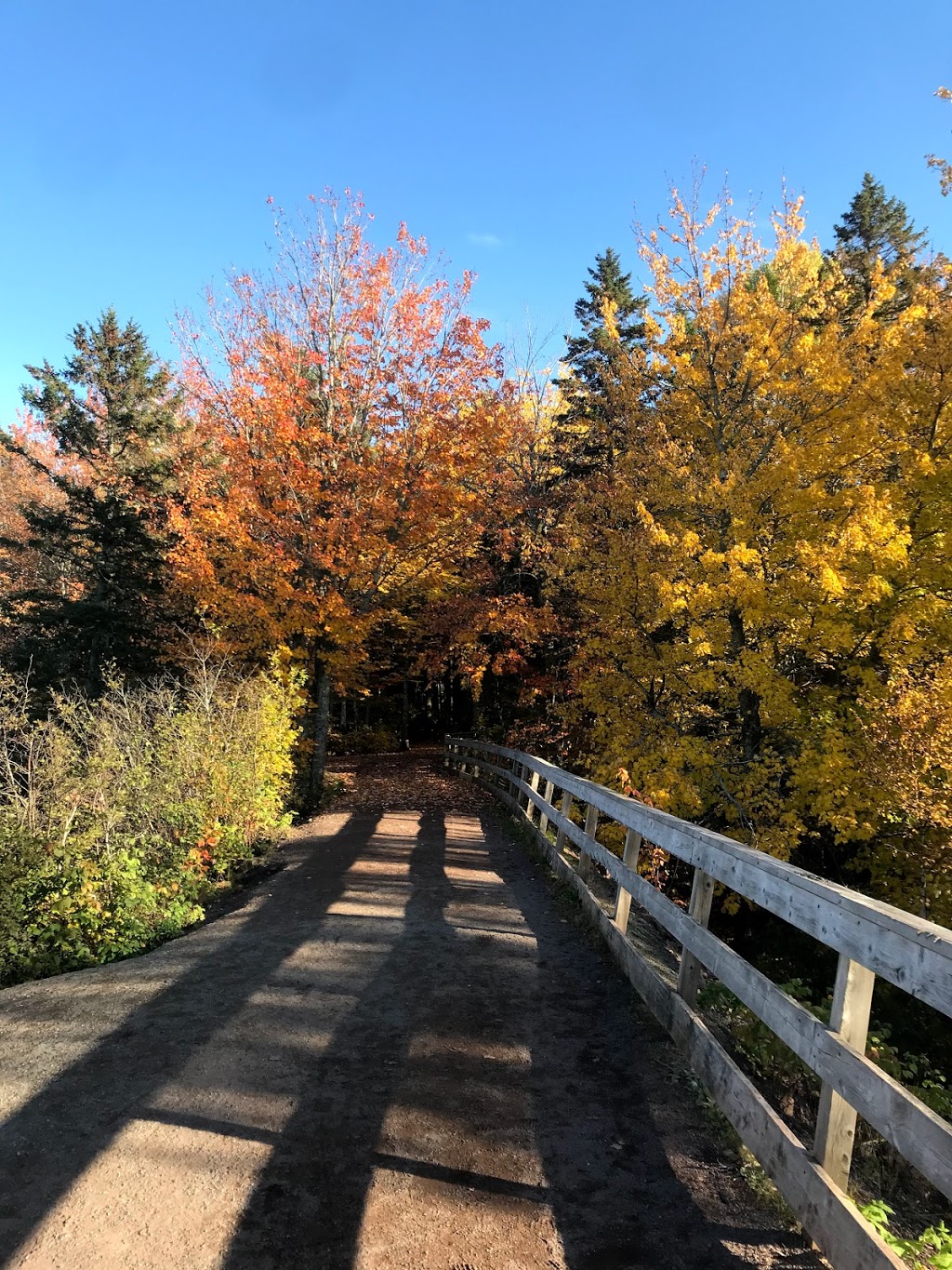 Irishtown Nature Park | 1155 Elmwood Dr, Moncton, NB E1H 2H7, Canada | Phone: (506) 853-3516