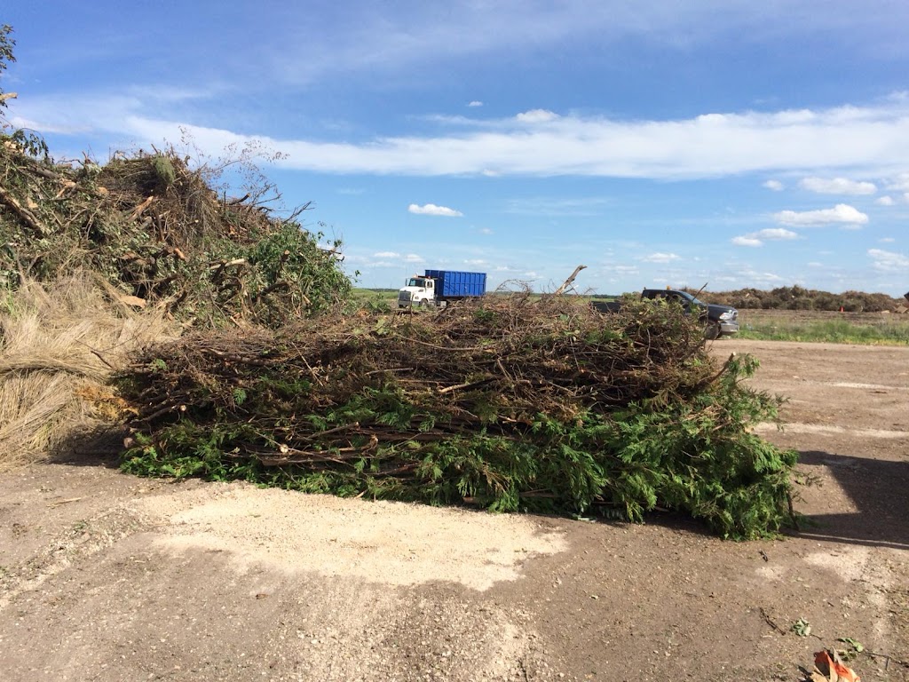 Chuck It Junk Removal & Bin Rental Services Winnipeg | Winnipeg, MB R3C 2E6, Canada | Phone: (204) 461-5865