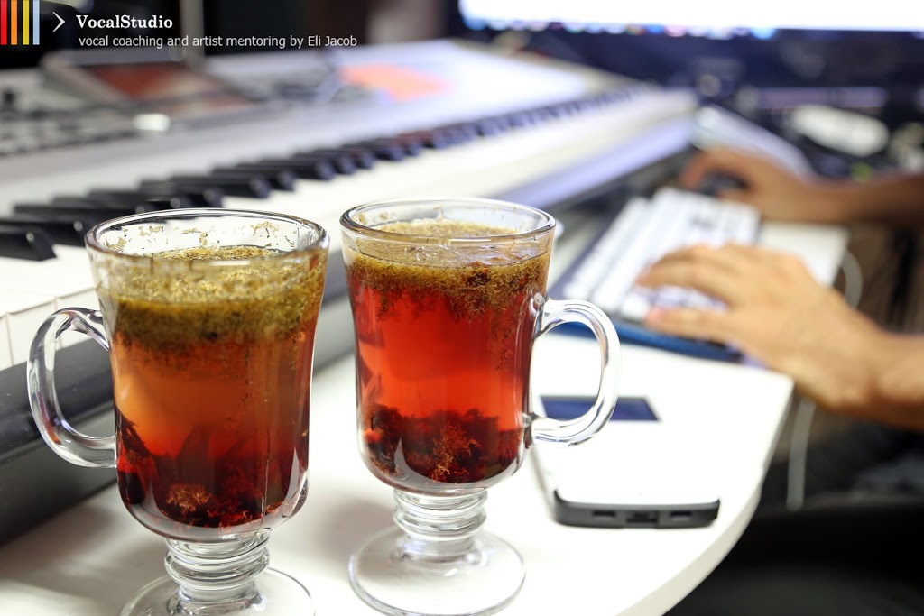 VocalStudio | 3215b Yonge St, Toronto, ON M4N 2L3, Canada | Phone: (416) 570-2496