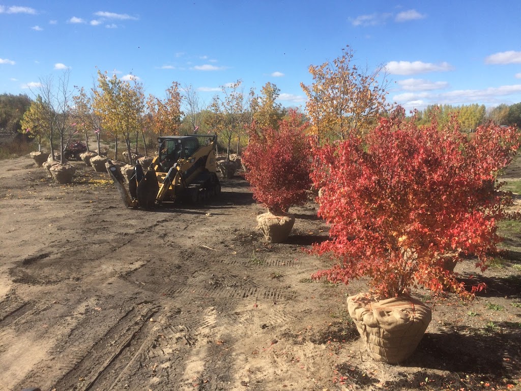 Waynes Tree Moving Inc | 73025 Kirkness Rd, Selkirk, MB R1A 2A8, Canada | Phone: (204) 757-2996