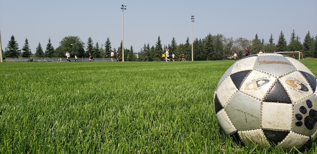 Tiger Goldstick Park | 3910 103 Ave NW, Edmonton, AB T6A 0S3, Canada | Phone: (780) 442-1377
