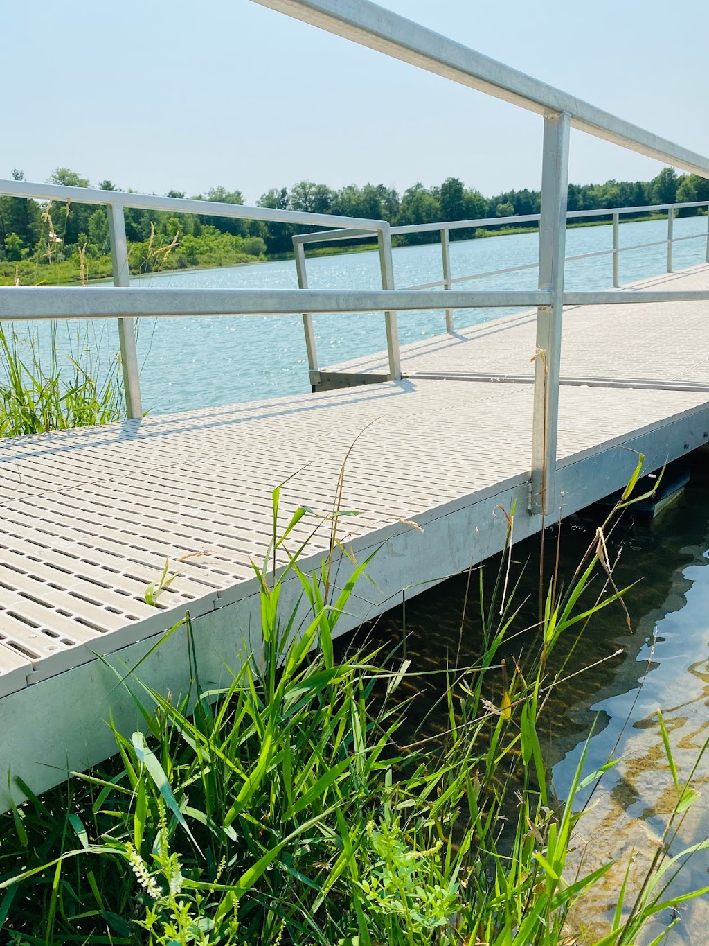 Binbrook Conservation Area | 5050 Harrison Rd, Binbrook, ON L0R 1C0, Canada | Phone: (905) 692-3228