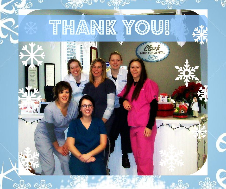 Clark Animal Hospital | 130 Alpine Rd, Kitchener, ON N2E 1A1, Canada | Phone: (519) 745-5647