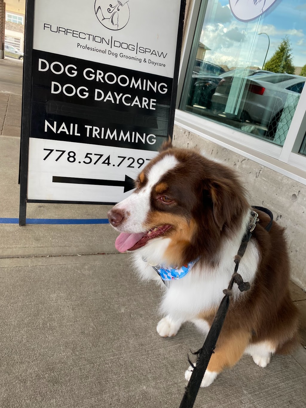 Furfection Dog Spaw ltd | 123, 6820 188 Street, Surrey, BC V4N 3G6, Canada | Phone: (778) 574-7297