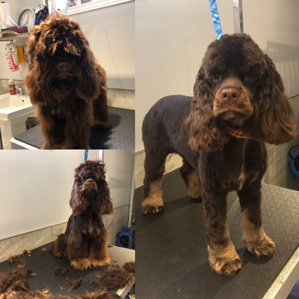 Scruff McGruff Day Spaw | 168 Coker Cres, Rockwood, ON N0B 2K0, Canada | Phone: (905) 702-2485