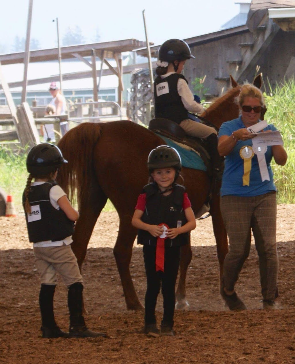 Pemberley Riding School | 21281 128 Ave, Maple Ridge, BC V4R 2N1, Canada | Phone: (604) 836-7522