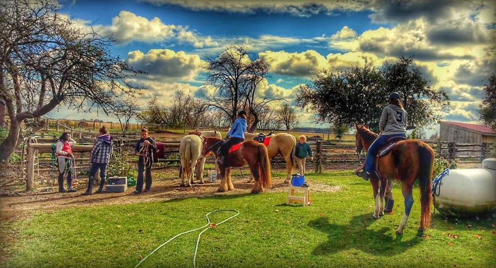 Kilsallagh Farm | 6977 Pine Creek Road, RR 1, Breslau, ON N0B 1M0, Canada | Phone: (519) 616-0324