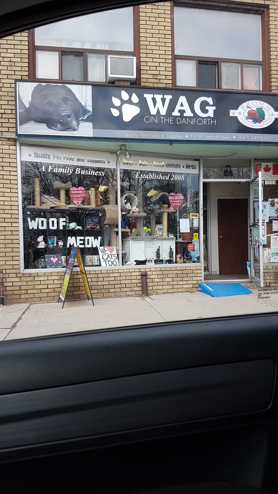 Wag On The Danforth | 1918 Danforth Ave, Toronto, ON M4C 1J4, Canada | Phone: (647) 349-8263
