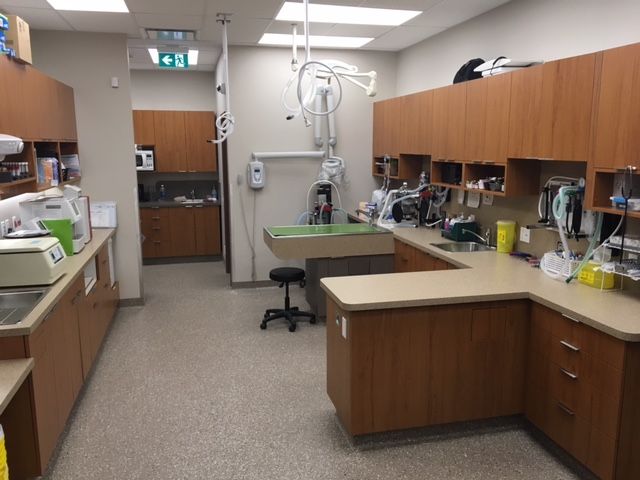 Edgemont Veterinary Clinic | 8210 Edgebrook Dr NW #105, Calgary, AB T3A 4K9, Canada | Phone: (403) 239-4657