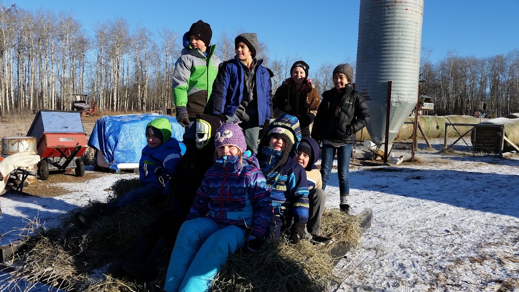 Good Note Community Farm | 510 Township Rd 510, New Sarepta, AB T0B 3M0, Canada | Phone: (780) 941-2341