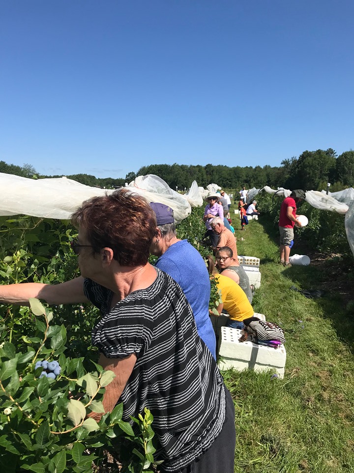 Jardin Huard - Bleuetière | 12480 Rue Notre Dame O, Trois-Rivières, QC G9B 6X2, Canada | Phone: (819) 377-5609
